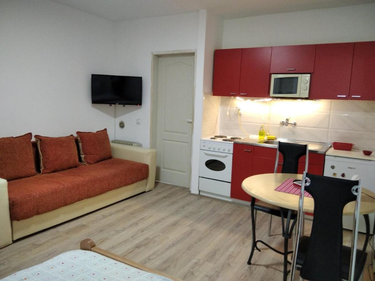 Apartman 4 - Studio Janja Сокобаня Екстер'єр фото