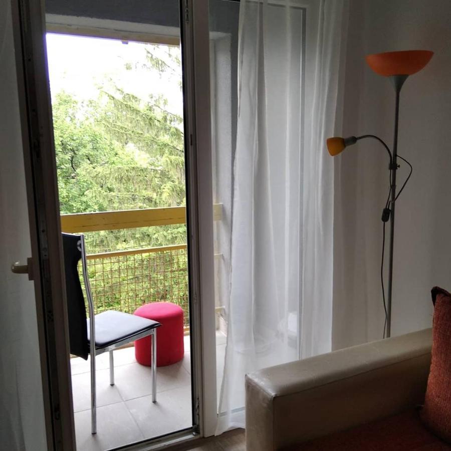 Apartman 4 - Studio Janja Сокобаня Екстер'єр фото
