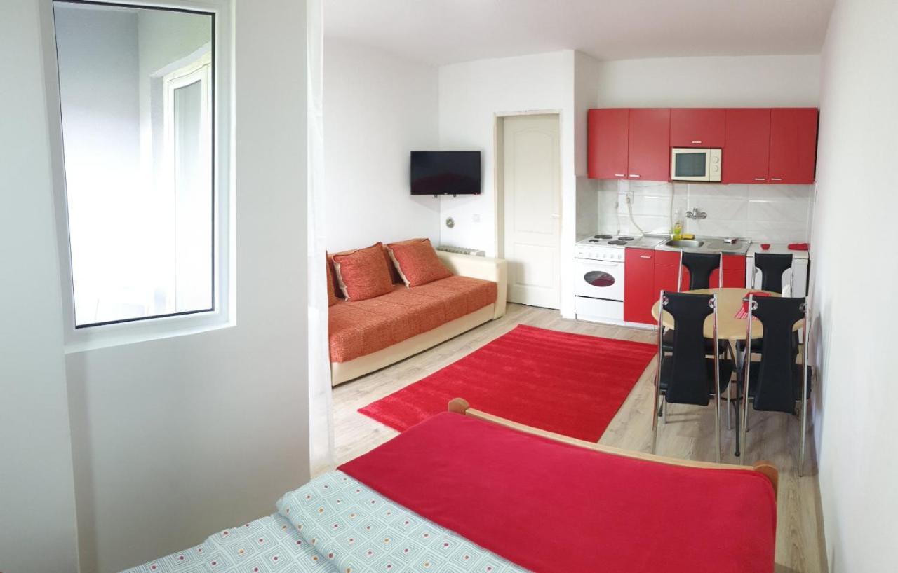 Apartman 4 - Studio Janja Сокобаня Екстер'єр фото