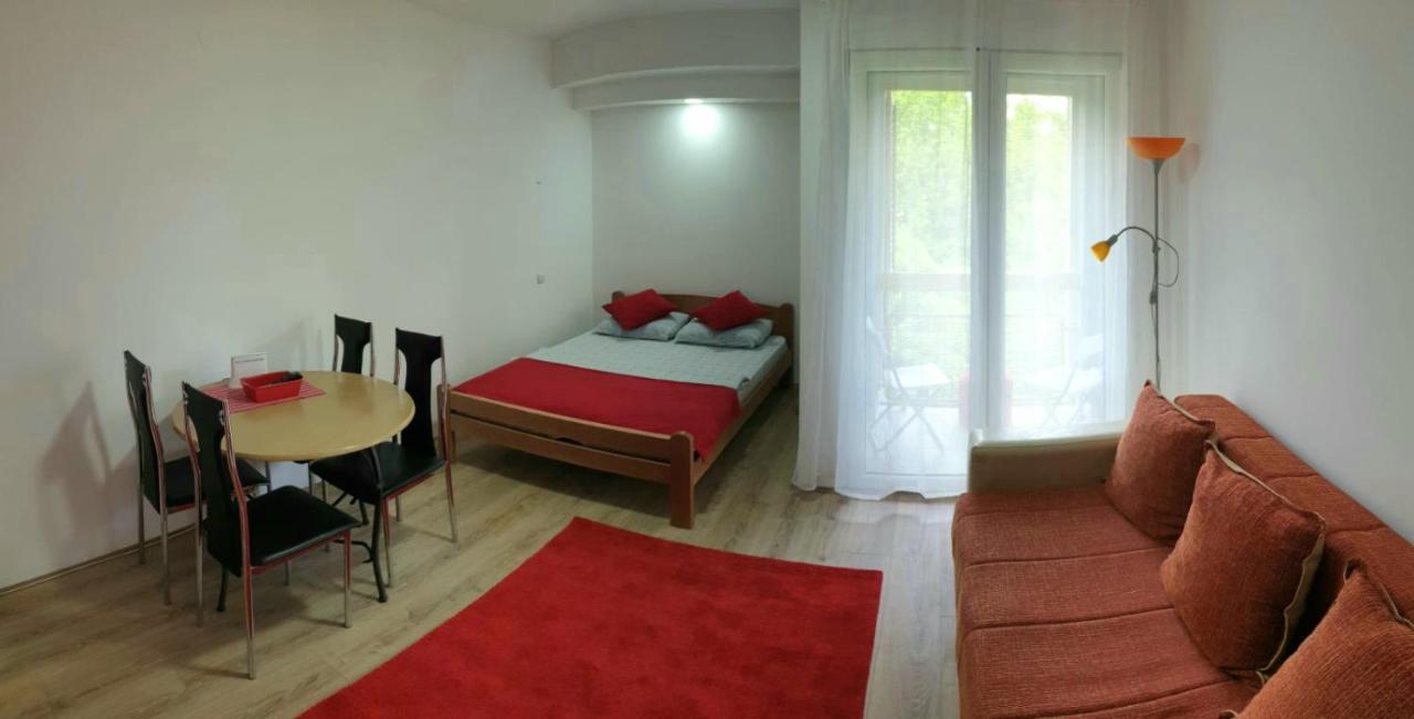 Apartman 4 - Studio Janja Сокобаня Екстер'єр фото