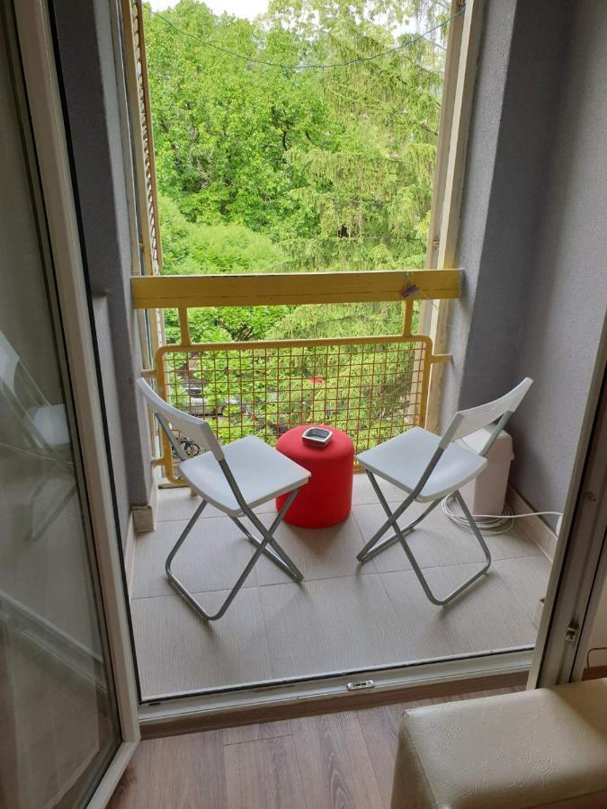 Apartman 4 - Studio Janja Сокобаня Екстер'єр фото