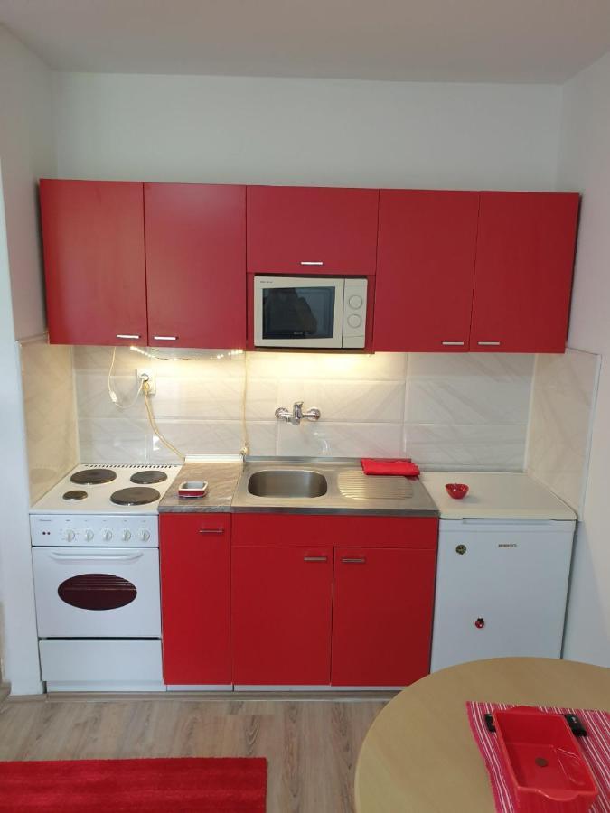 Apartman 4 - Studio Janja Сокобаня Екстер'єр фото