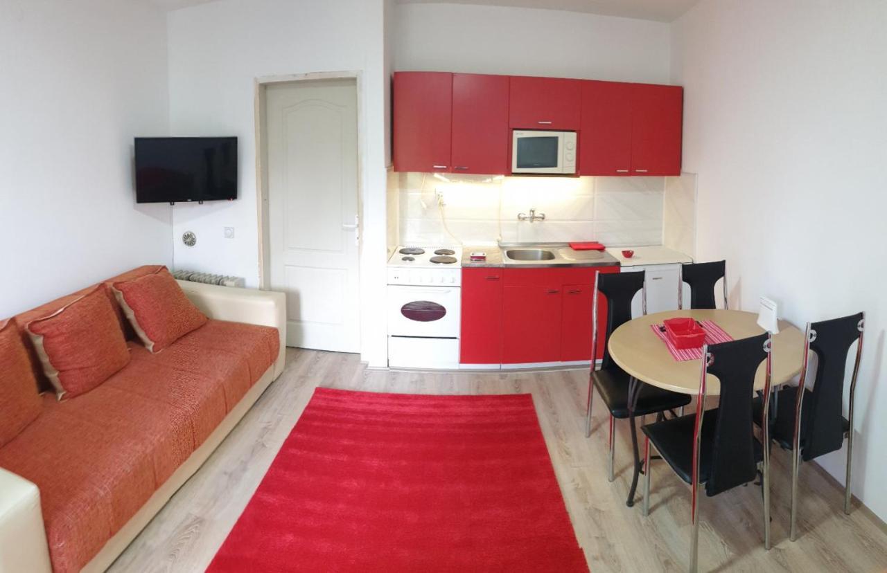 Apartman 4 - Studio Janja Сокобаня Екстер'єр фото
